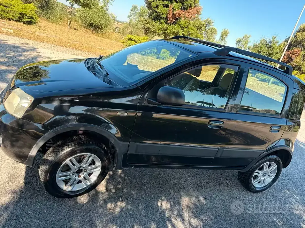 Usata Fiat Panda 4x4 69 CV (50 kW) 2007 Utilitaria