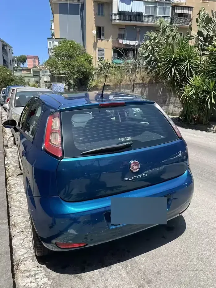 Usata Fiat Punto 75 CV (55 kW) 2014 Bluazzurro Utilitaria