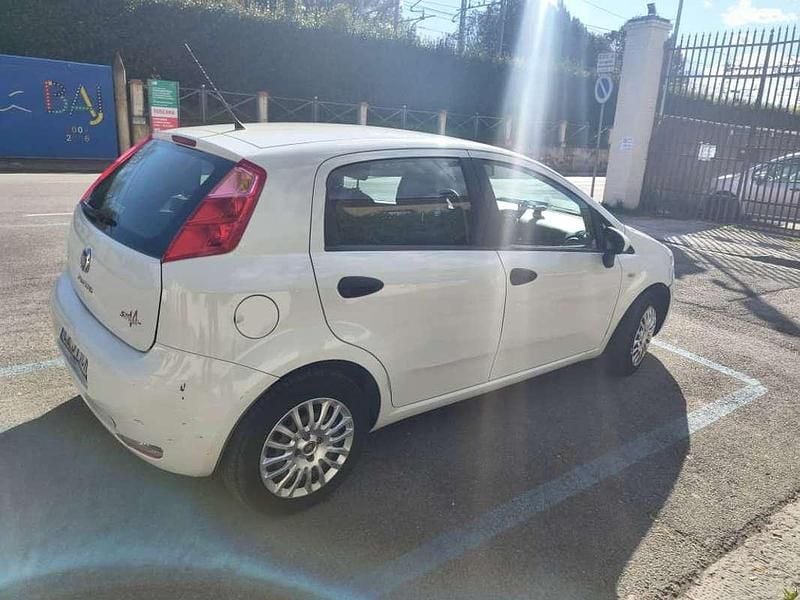 Usata Fiat Punto Evo 69 CV (50 kW) 2015 Bianco Utilitaria
