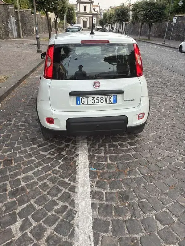 Usata Fiat Panda City Life 69 CV (50 kW) 2024 Utilitaria