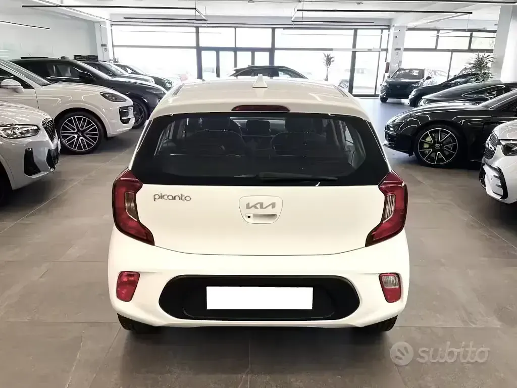 Usata Kia Picanto Urban 67 CV (49 kW) 2024 Bianco Utilitaria