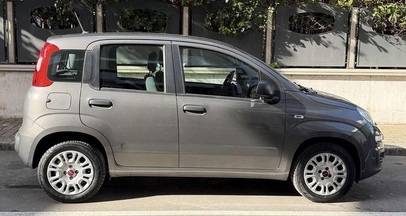Usata Fiat Panda Easy 69 CV (50 kW) 2020 Grigio Utilitaria