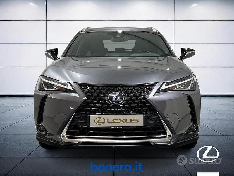 Usata Lexus UX 250h Executive Line 184 CV (135 kW) 2019 Grigio SUV