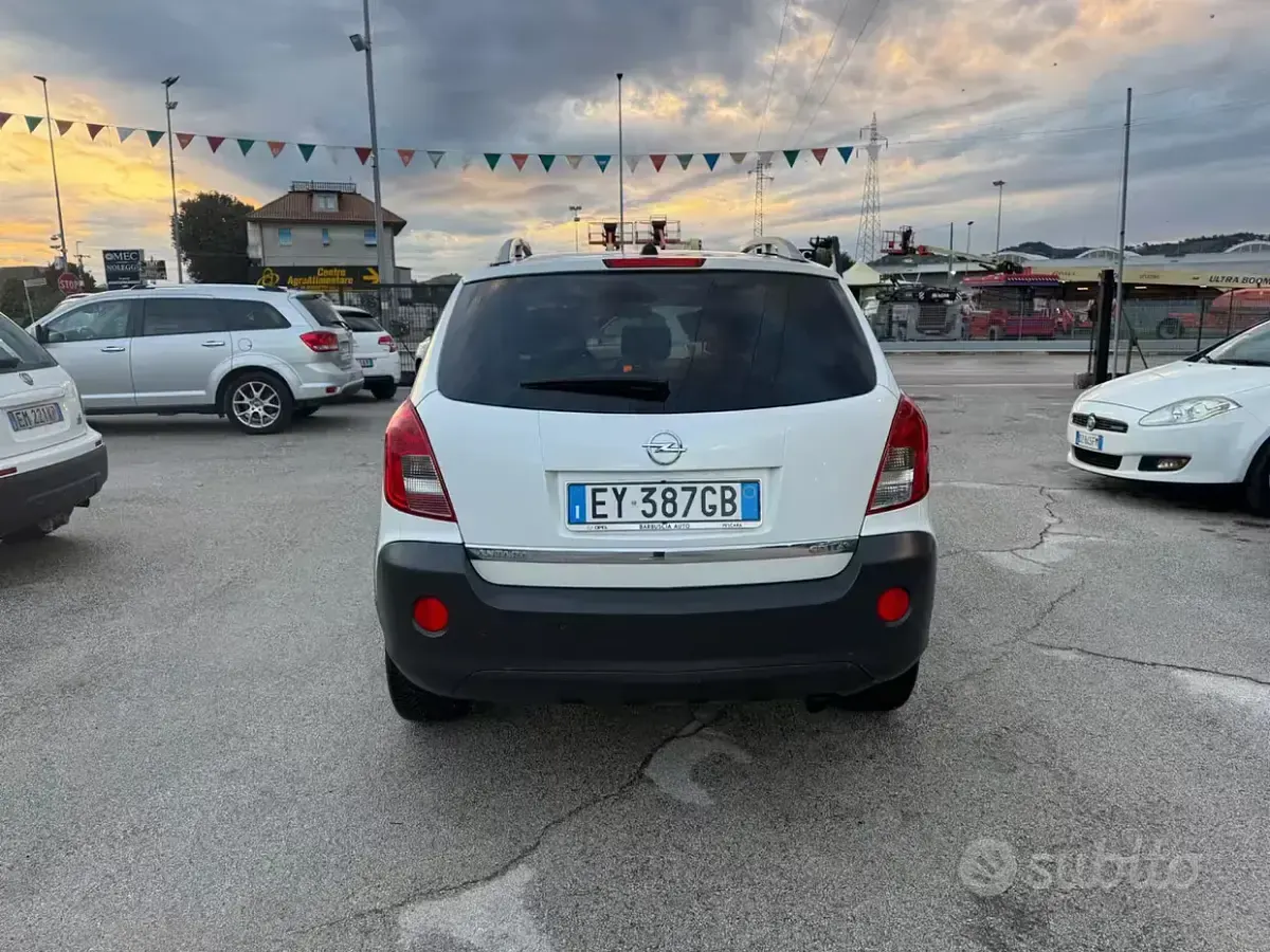 Usata Opel Antara Cosmo 167 CV (122 kW) 2015 Bianco SUV