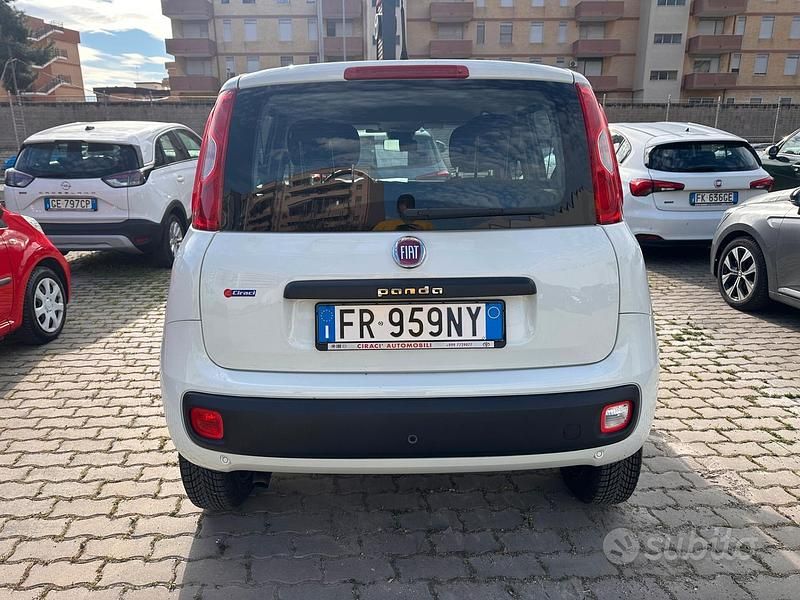 Usata Fiat Panda Easy 71 CV (52 kW) 2018 Bianco Utilitaria