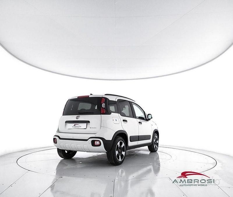 Usata Fiat Panda Cross Cross 70 CV (51 kW) 2024 Bianco Utilitaria