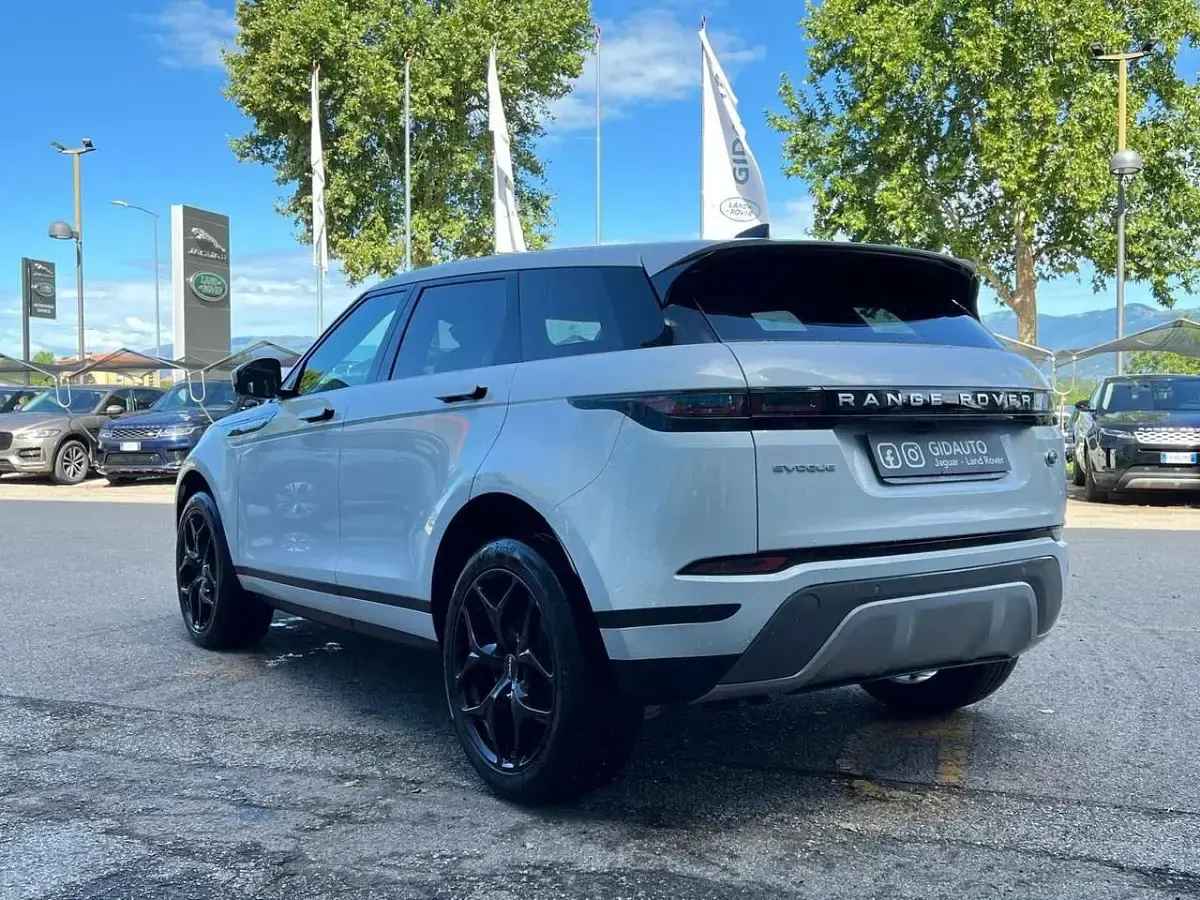 Usata Land Rover Range Rover evoque 163 CV (119 kW) 2021 Bianco SUV