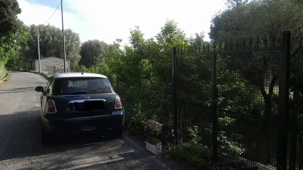 Usata Mini Cooper D 110 CV (80 kW) 2008 Verde Utilitaria