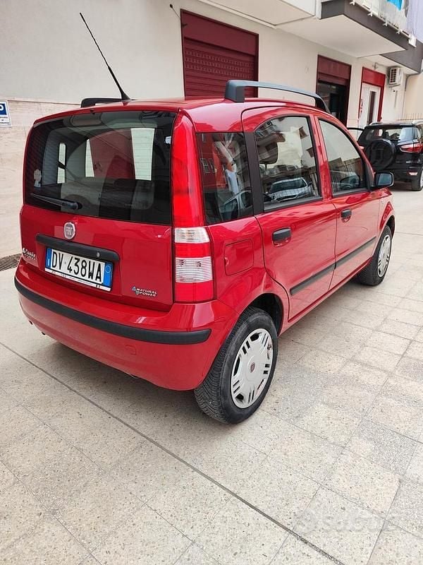 Usata Fiat Panda Dynamic 60 CV (44 kW) 2009 Rosso Utilitaria