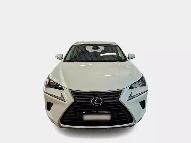 Usata Lexus NX300h Executive Line 155 CV (114 kW) 2019 Bianco SUV