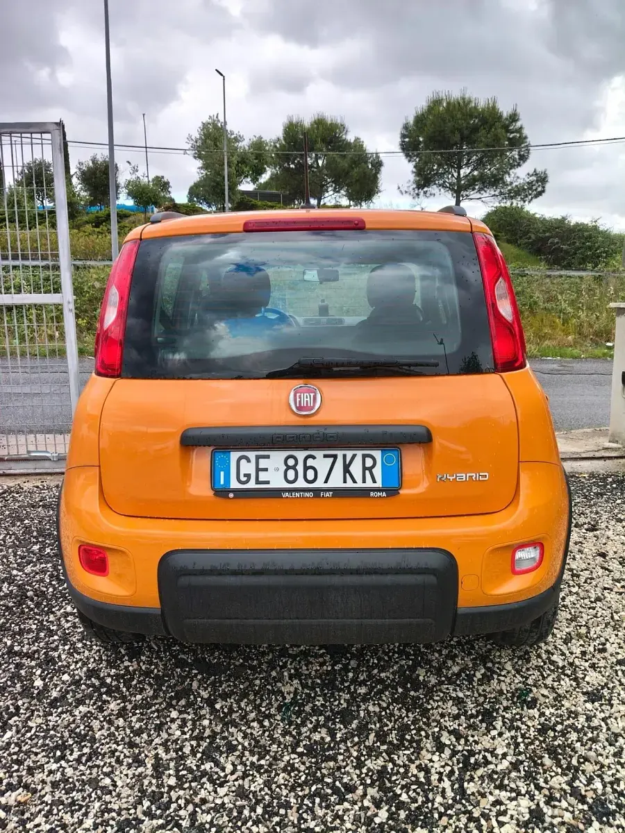 Usata Fiat Panda Cross Cross 70 CV (51 kW) 2021 Arancione Utilitaria