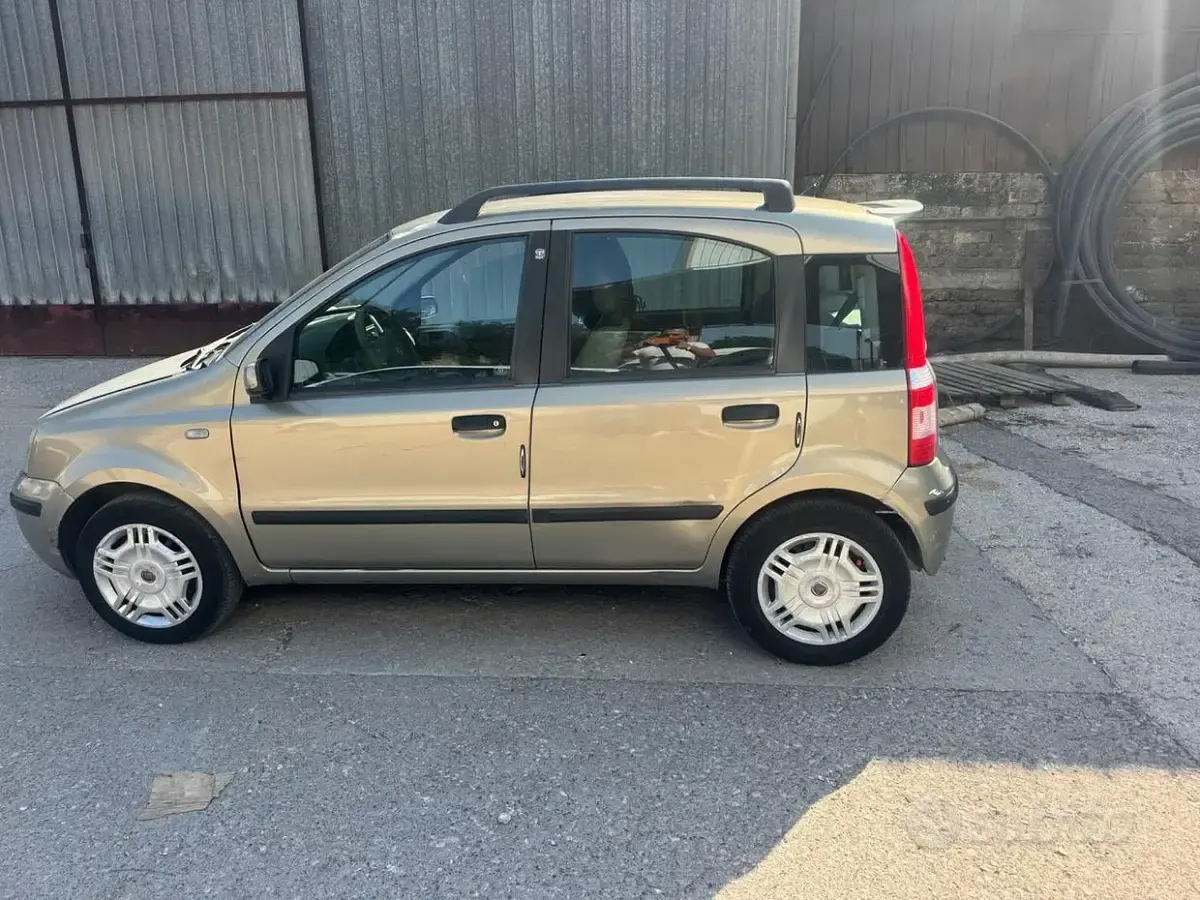 Usata Fiat Panda Dynamic 60 CV (44 kW) 2006 Marrone Utilitaria