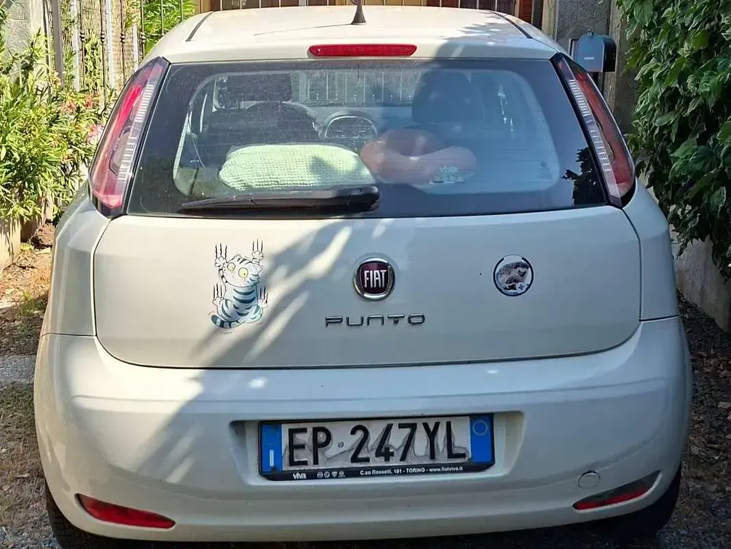 Usata Fiat Grande Punto 75 CV (55 kW) 2013 Bianco Utilitaria