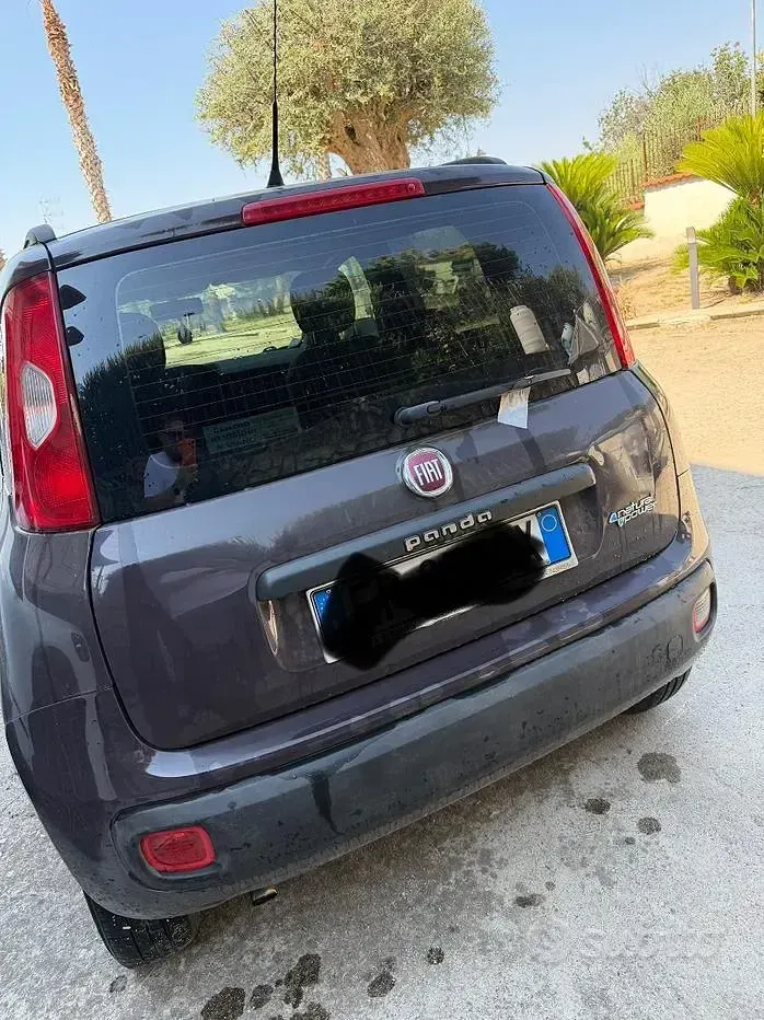 Usata Fiat Panda 85 CV (62 kW) 2013 Viola Utilitaria