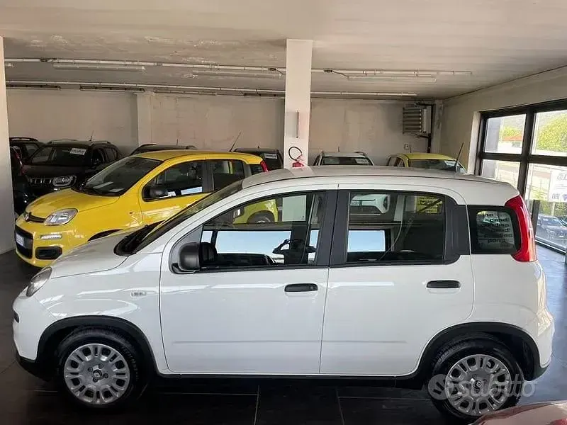 Usata Fiat Panda S 70 CV (51 kW) 2024 Bianco Utilitaria