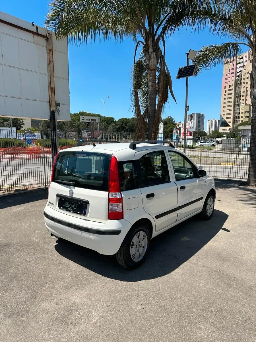 Usata Fiat Panda 59 CV (43 kW) 2009 Bianco Utilitaria