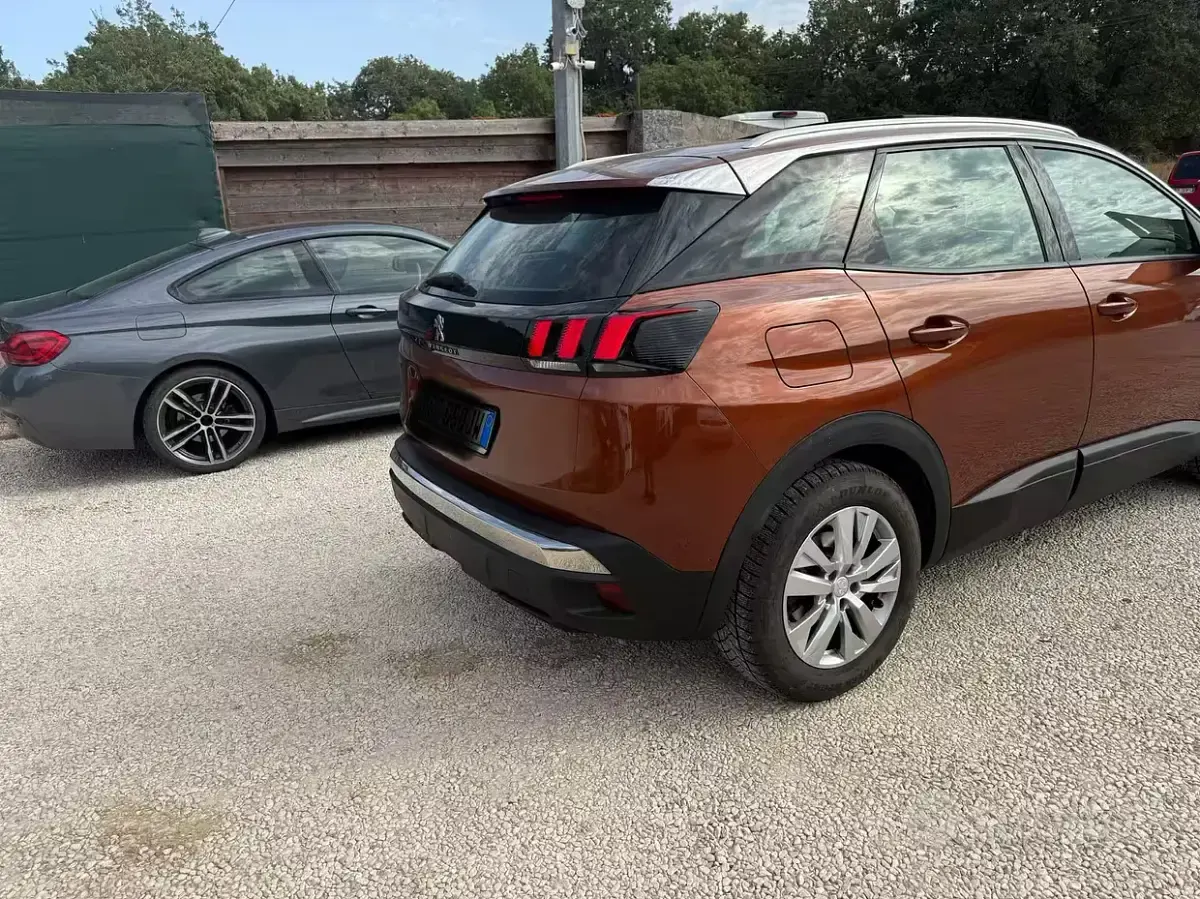 Usata Peugeot 3008 Business-Line 131 CV (96 kW) 2021 Marrone SUV