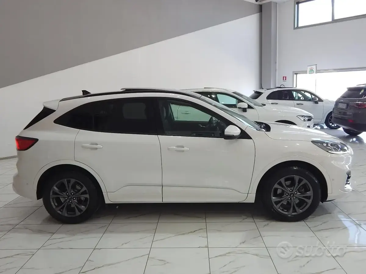Usata Ford Kuga ST-Line X 150 CV (110 kW) 2022 Bianco SUV