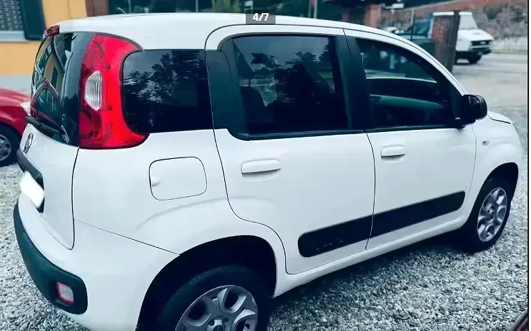 Usata Fiat Panda 4x4 S 75 CV (55 kW) 2015 Bianco Utilitaria