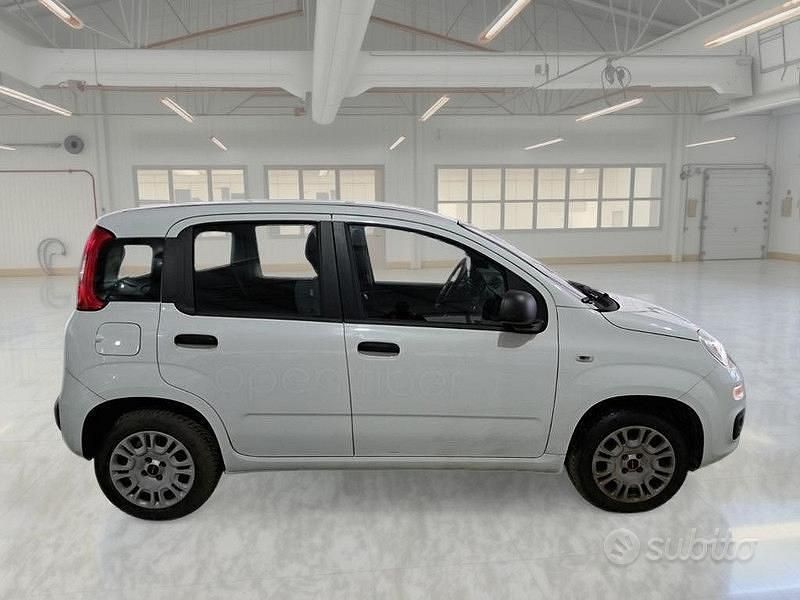Usata Fiat Panda Easy 69 CV (50 kW) 2019 Bianco Utilitaria
