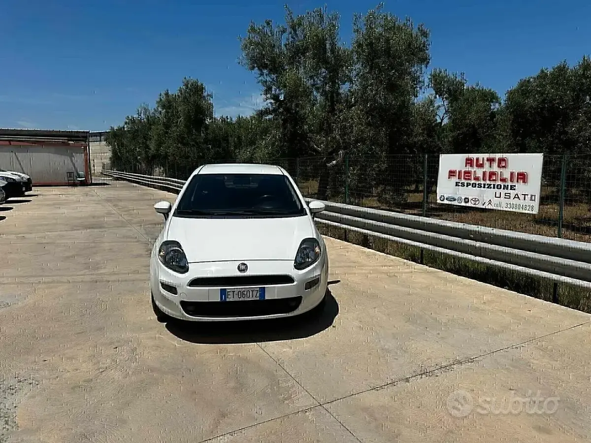 Usata Fiat Punto Lounge 85 CV (62 kW) 2014 Bianco Utilitaria