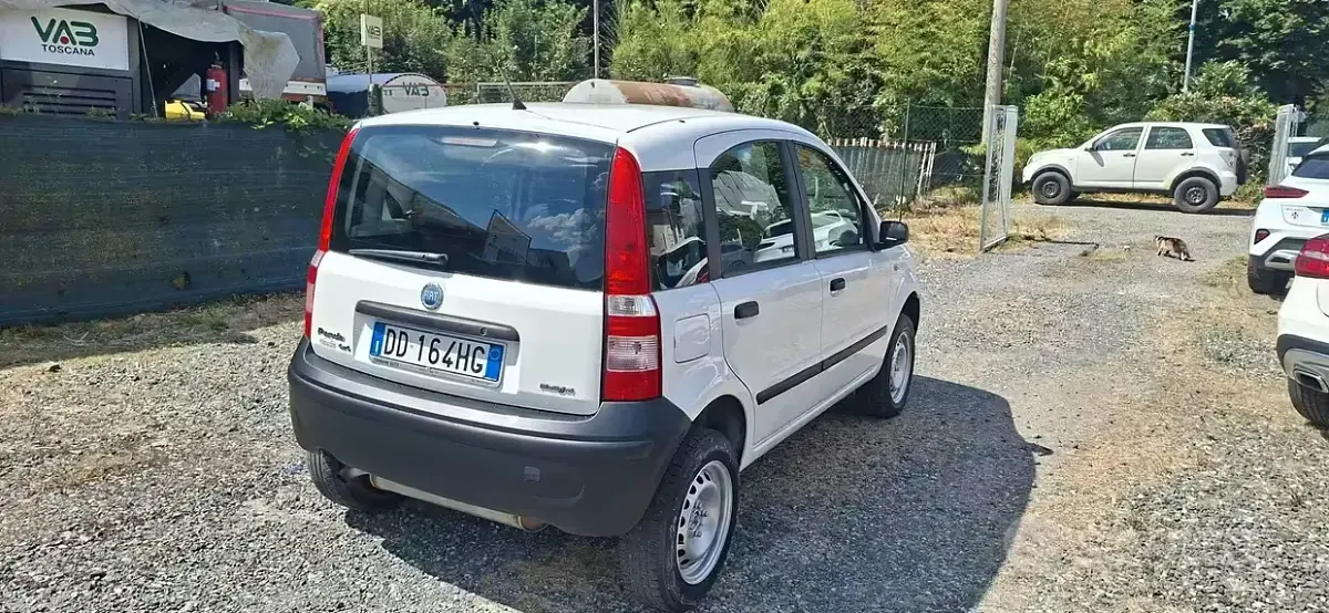 Usata Fiat Panda 4x4 69 CV (50 kW) 2006 Bianco Utilitaria