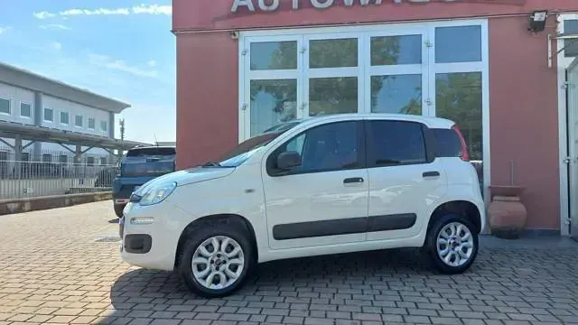 Usata Fiat Panda 4x4 Pop 84 CV (61 kW) 2019 Bianco Utilitaria