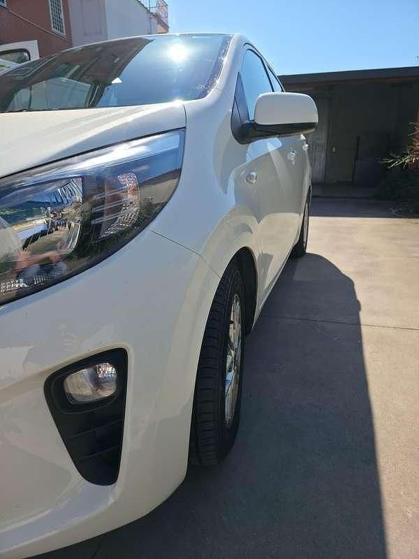Usata Kia Picanto Urban 65 CV (47 kW) 2023 Bianco Utilitaria