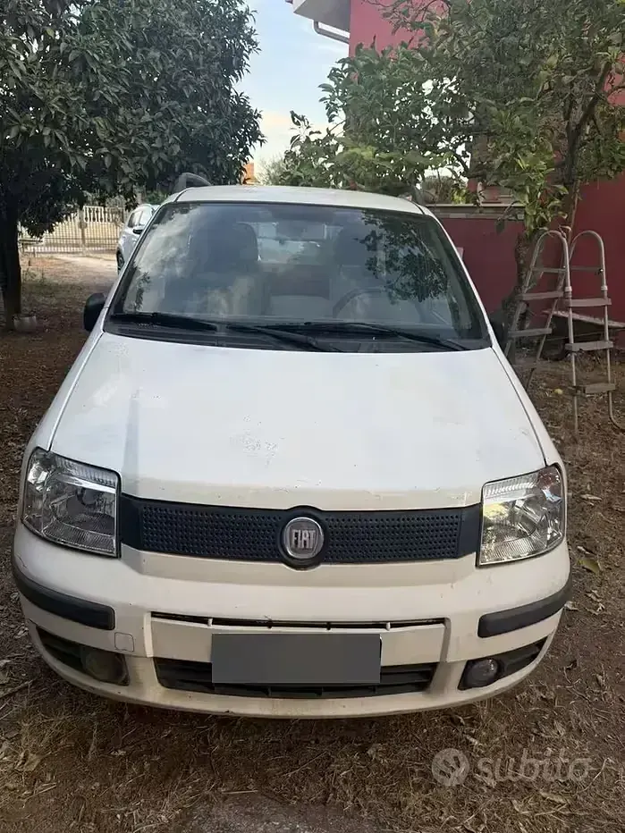 Usata Fiat Panda 60 CV (44 kW) 2009 Bianco Utilitaria