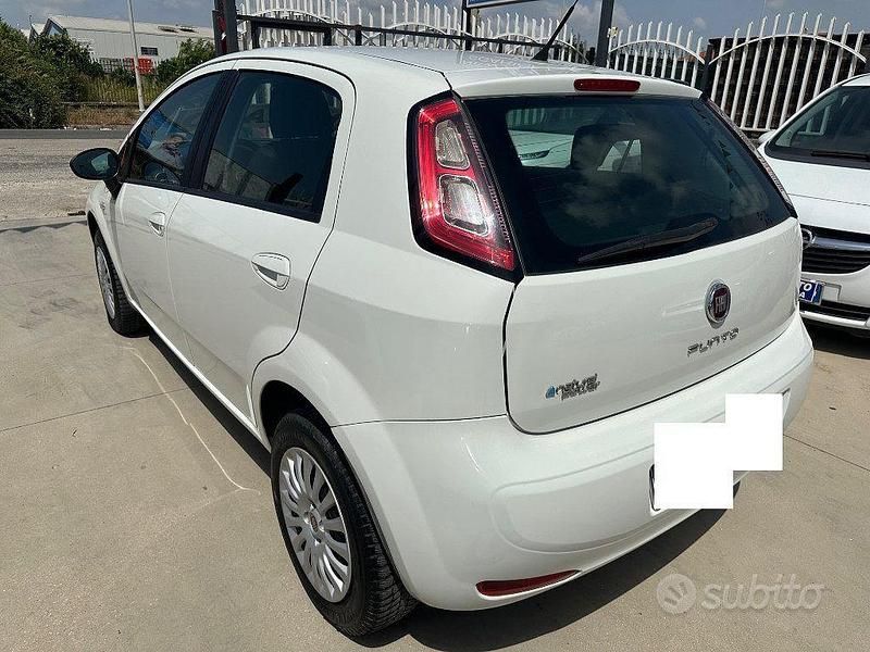 Usata Fiat Punto Easy 80 CV (58 kW) 2013 Bianco Utilitaria