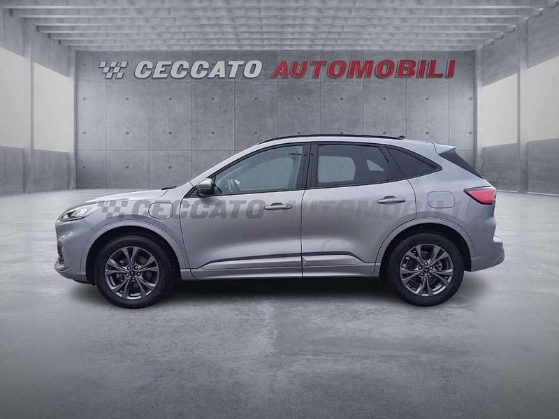 Usata Ford Kuga ST-Line 224 CV (164 kW) 2023 Argento SUV