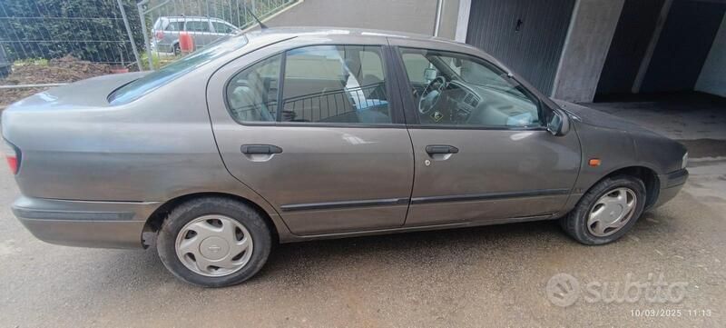 Usata Nissan Primera 102 CV (75 kW) 1997 Grigio Berlina