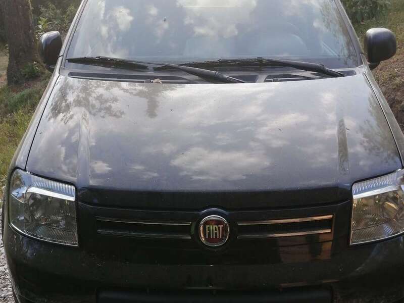 Usato 2013 Fiat Panda 4x4 0.9 Benzin 86 CV (7.000 €)