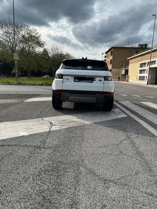 Usata Land Rover Range Rover evoque 106 CV (77 kW) 2016 Bianco SUV