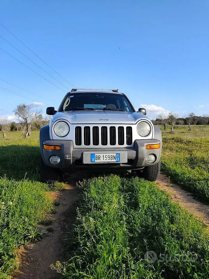 Usata Jeep Cherokee 143 CV (105 kW) 2002 Grigio SUV