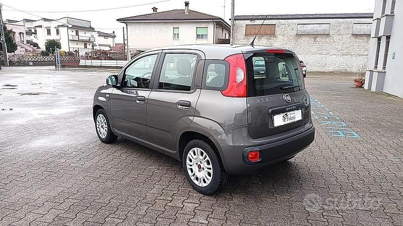 Usata Fiat Panda Easy 69 CV (50 kW) 2020 Grigio Utilitaria