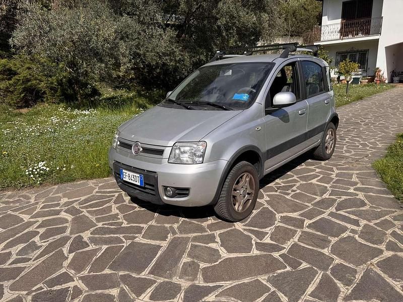 Usata Fiat Panda 4x4 69 CV (50 kW) 2010 Argento Utilitaria
