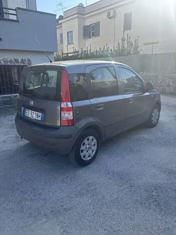 Usata Fiat Panda Dynamic 69 CV (50 kW) 2010 Grigio Utilitaria