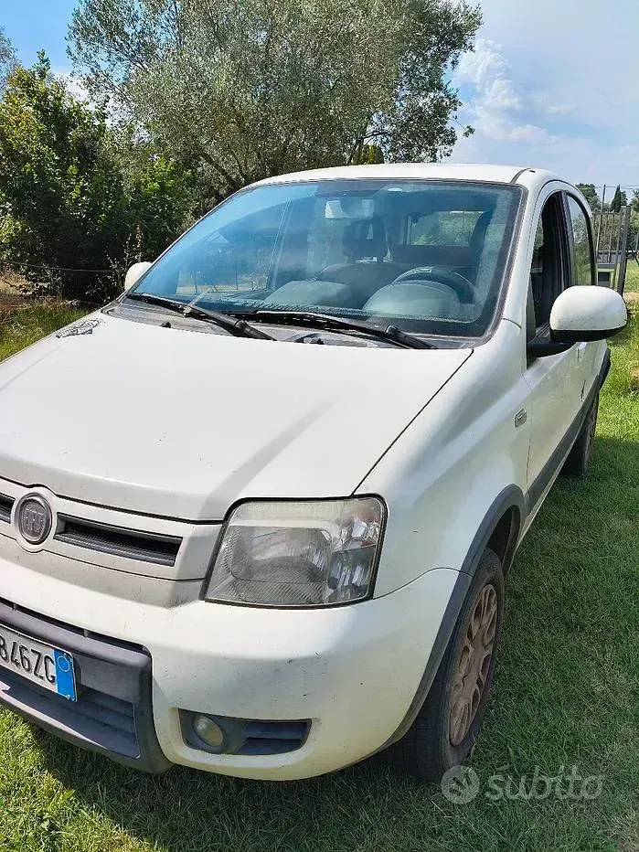 Usata Fiat Panda 4x4 Climbing 75 CV (55 kW) 2011 Bianco Utilitaria