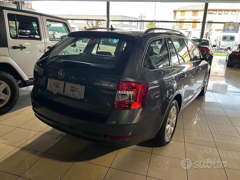 Usata Skoda Octavia Ambition 116 CV (85 kW) 2019 Grigio Station wagon