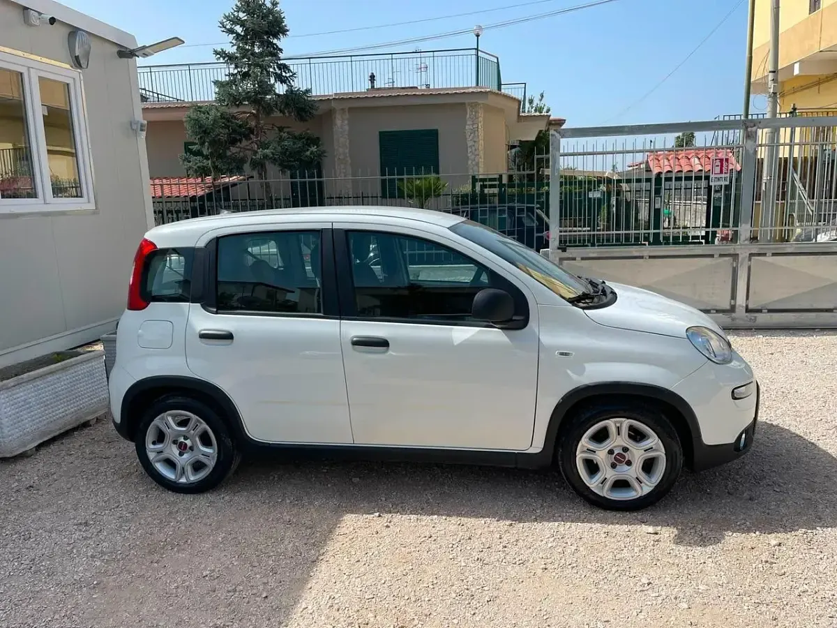 Usata Fiat Panda S 70 CV (51 kW) 2024 Bianco Utilitaria