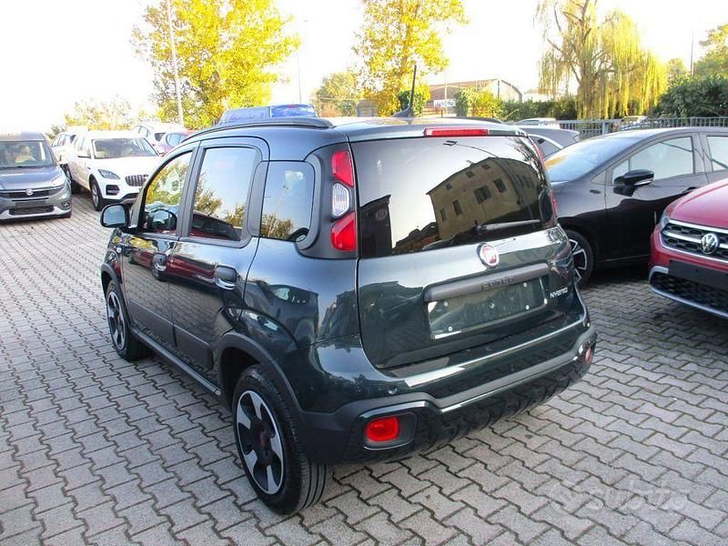 Usata Fiat Panda Cross Cross 70 CV (51 kW) 2024 Verde Utilitaria