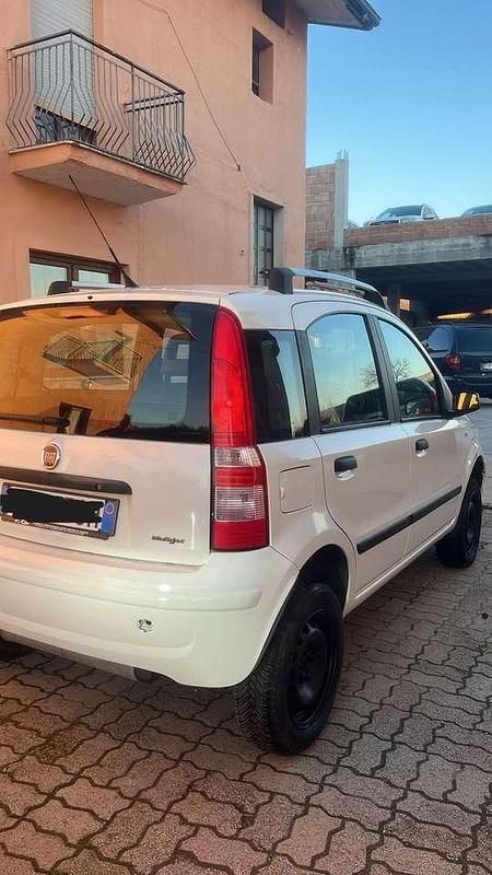 Usata Fiat Panda 4x4 69 CV (50 kW) 2008 Bianco Utilitaria
