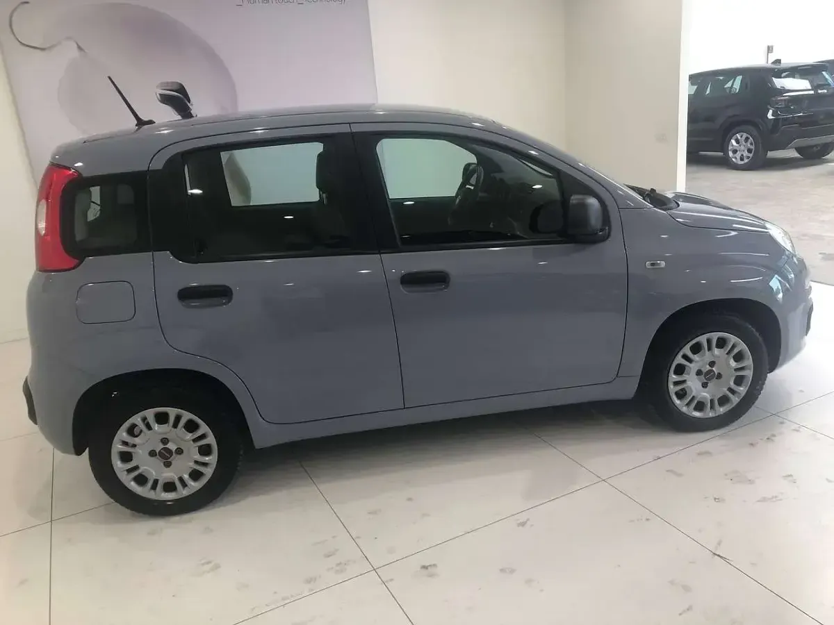 Usata Fiat Panda Easy 69 CV (50 kW) 2020 Grigio Utilitaria