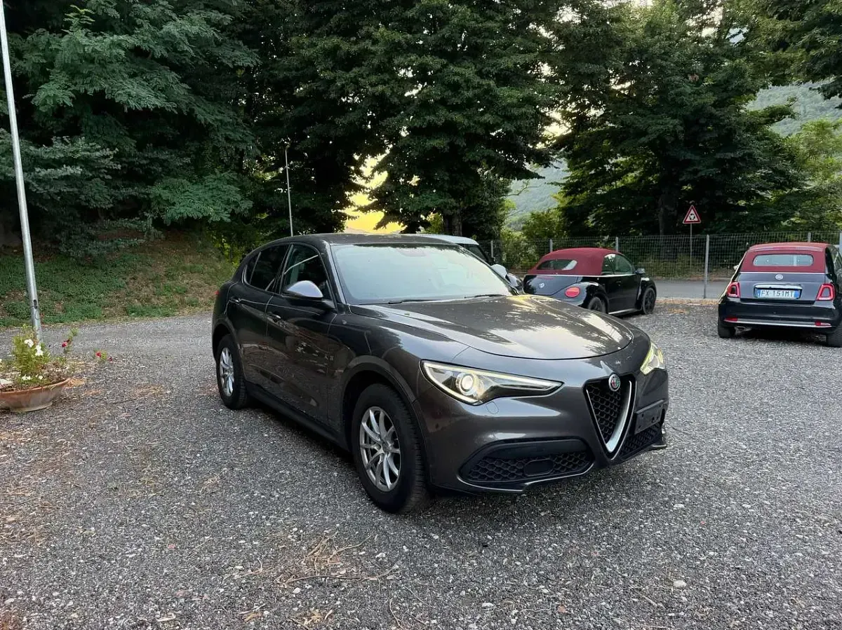 Usata Alfa Romeo Stelvio Business 160 CV (117 kW) 2020 Grigio SUV