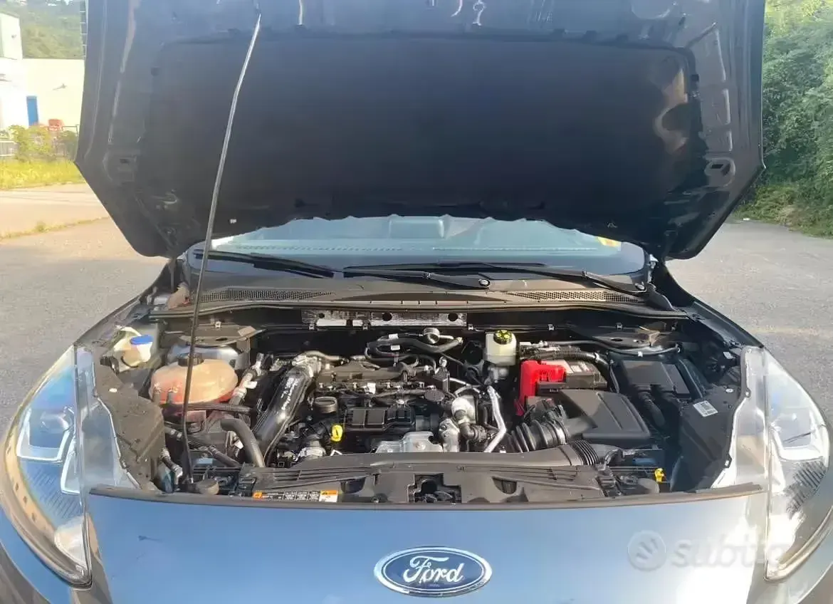 Usata Ford Kuga 120 CV (88 kW) 2020 Bluazzurro SUV