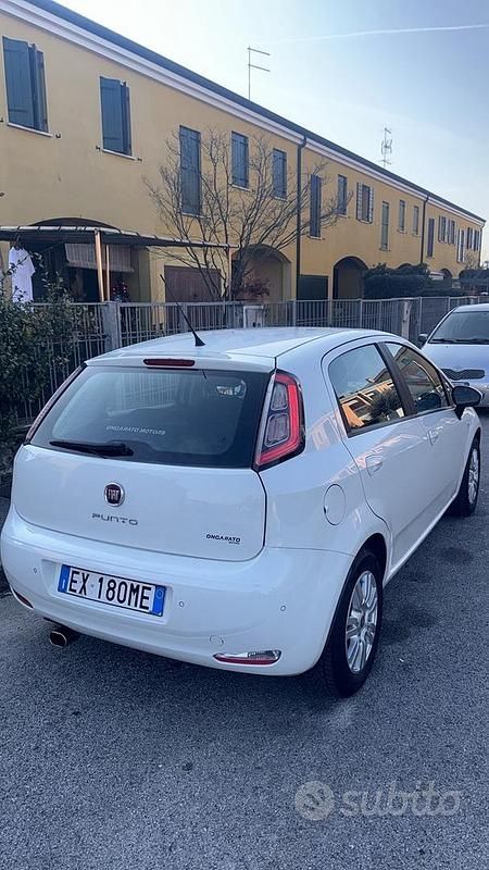 Usata Fiat Punto 2014 Bianco Berlina