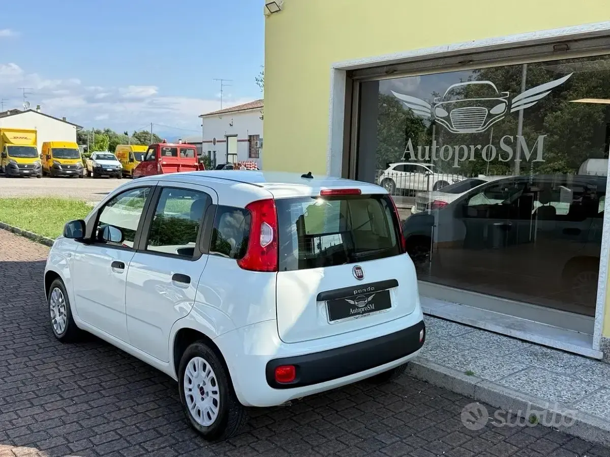 Usata Fiat Panda Easy 69 CV (50 kW) 2020 Bianco Utilitaria