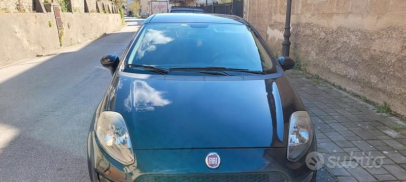 Usata Fiat Punto Lounge 69 CV (50 kW) 2013 Utilitaria
