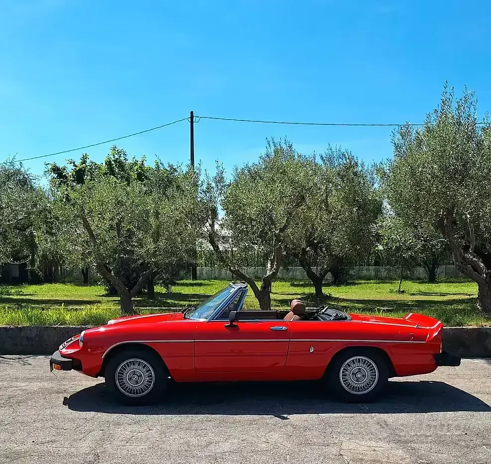 Usata Alfa Romeo Spider Veloce 131 CV (96 kW) 1970 Rosso Cabrio